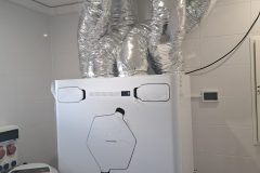 20250317_120630-scaled